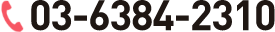 03-6384-2310